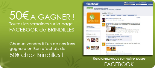Brindilles